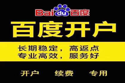 某公司通过百度竞价代理实现业绩翻倍的案例